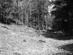 Dimock's Property