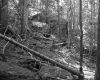 Dimock's Property