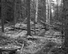 Dimock's Property