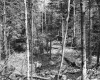 Dimock's Property
