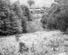 Brooks' Property 