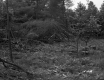 Brooks' Property 