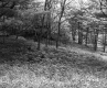 Brooks' Property