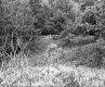 Brooks' Property