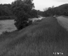 Brooks' Property