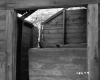 Brooks' Property
