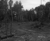 Brooks' Property