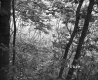 Wilmot's Property