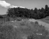 Holmes' Property