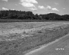 Holmes' Property