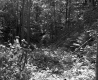 Holmes' Property