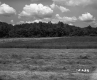 Holmes' Property