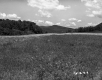 Holmes' Property