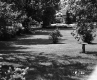 F. and I. Saia's Property