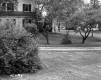 Wright's Property