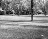 Wright's Property