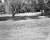 Wright's Property
