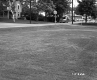 Dunley and Walsh's Property