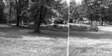 Adam's Property