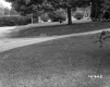 Smith's Property