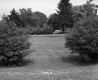 Trainor's Property