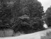 Smith's Property