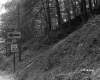 Smith's Property