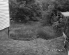 Williams' Property