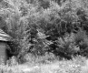 Farrell's Property