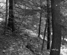 Farrell's Property