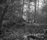 Farrell's Property
