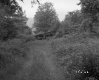 Farrell's Property