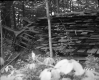 Farrell's Property