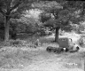 Farrell's Property