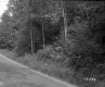 Farrell's Property