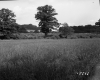 Ford's Property