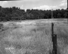 Ford's Property