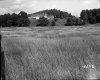 Ford's Property