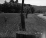 Ford's Property