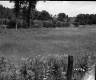 Ford's Property