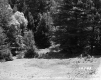 Gates' Property