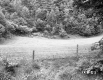 Gates' Property
