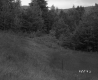 Gates' Property