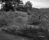 Gates' Property
