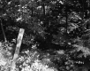 Fay Property View of Fence and Trees