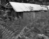 Fay Property Spring House