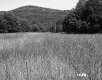 Bushway Property Meadow with Mountain
