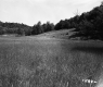 Bushway Property Fenced Hill
