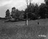 Bushway Property Bare Deciduous Tree Centered