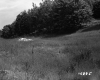 Bushway Property Two Rocks in Meadow